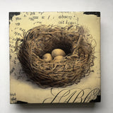 Cedar Mountain Art Block - Nest